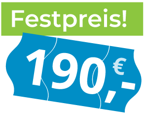 Wespennest entfernen Kosten